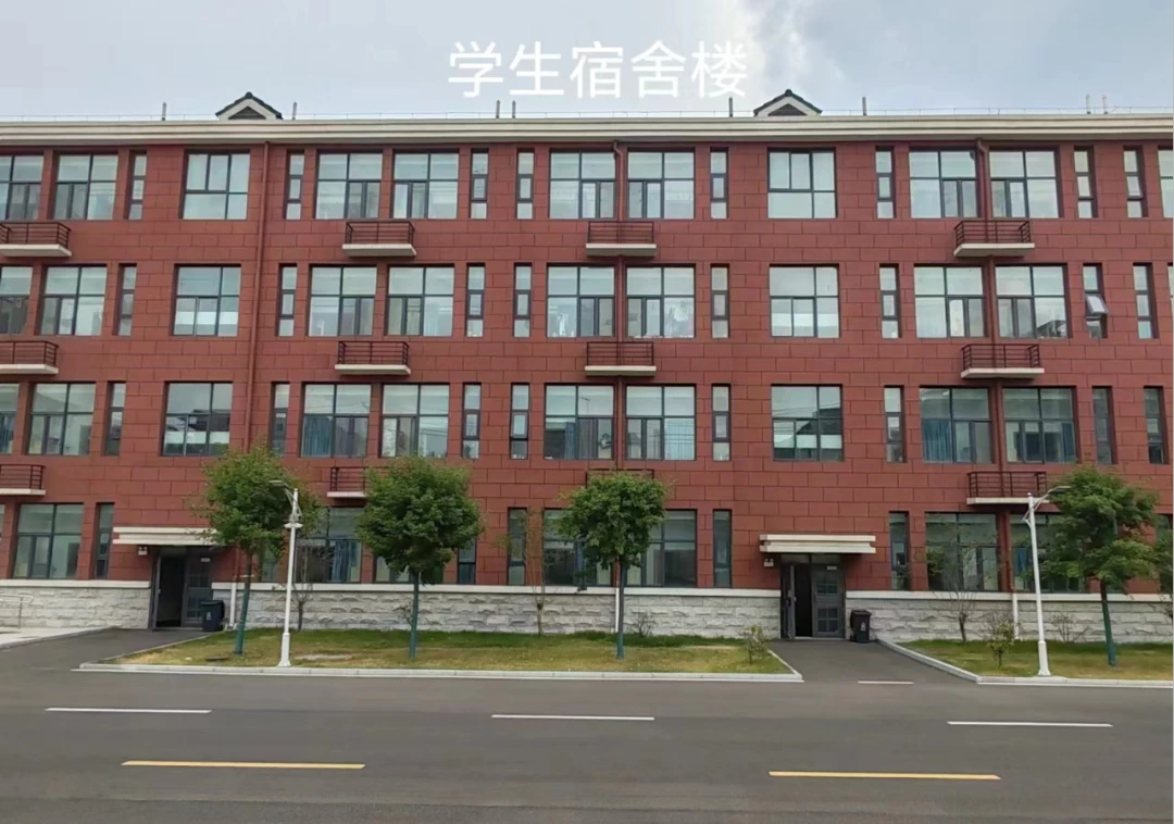 篮球训练法读后感怎么写_1